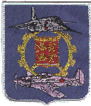 Ecusson de l'EC 2/30 Normandie Niemen