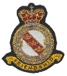 Ecusson du Squadron 341 Alsace