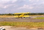 Stearman jaune