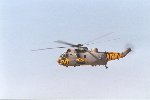 Un Sea King anglais... Membre des Tigres de l'OTAN ?
